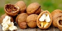 اینفوگرافیکی از منابع طبیعی و گیاهی امگا ۳