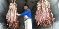 لزوم راه اندازی سامانه آماری گوشت قرمز