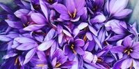 زعفران عطرین، مرجع قیمت گیری زعفران در عید نوروز 1400