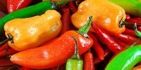 آیا غذاهای تند منجر به مرگ می‌شود؟
