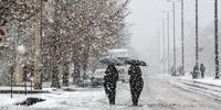 رکورد طلایی بارش برف/ ارتفاع برف در این استان به 120 سانتیمتر رسید


