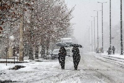 بارش برف در تهران
