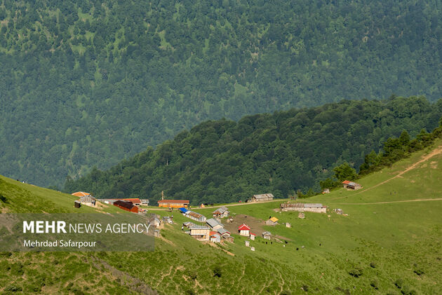 4203522_MehrdadDehkordi_11