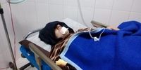 حمله وحشتناک گرگ به ۲ شهروند هشجین 