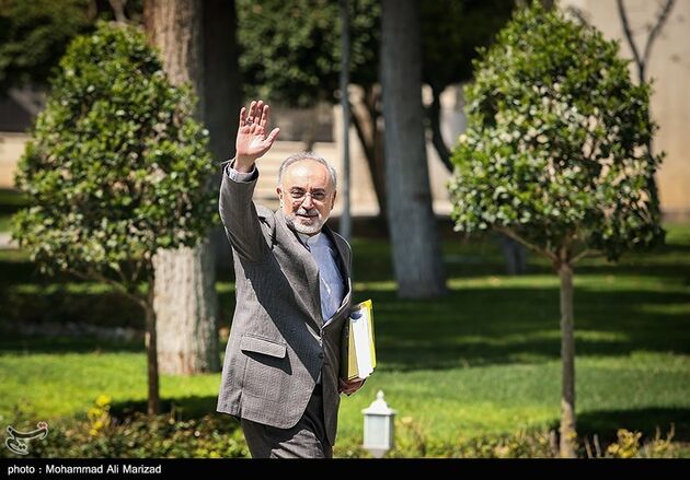 در حاشیه جلسه هیات دولت