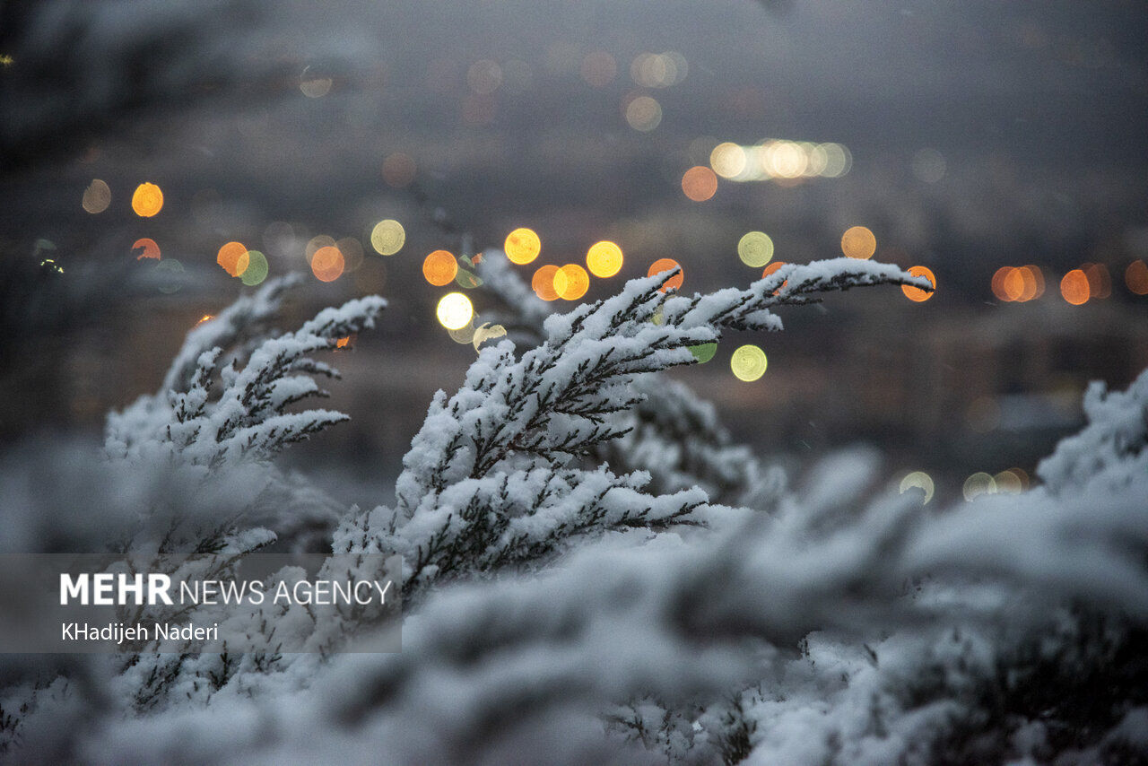 توضیحات رئیس مرکز ملی پیش‌بینی درباره برف ۲-۳ متری، سردچال قطبی و بارش ۶۰ سانتیمتر برف در تهران/ «بارش‌ها ادامه دارد، اما نه آن‌طور که می‌گویند»