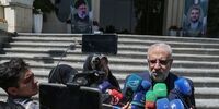 دومین سکوی پارس جنوبی در دولت سیزدهم به بهره برداری می‌رسد