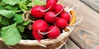 این افراد هرگز نباید تربچه بخورند