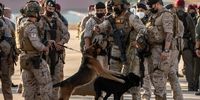  ترامپ: سگ‌ها را در افغانستان جا گذاشتند!
