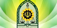 توضیح پلیس درباره بازداشت بازیگر معروف/ پلیس در بازداشت این فرد هیچ‌گونه دخالتی نداشته است