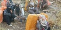 این تصاویر از زنان کولبر ایران پُربازدید شد
