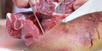 جدیدترین آمار از ابتلا و مرگ و میر ناشی از تب کریمه کنگو در کشور