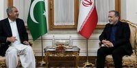 تصاویری از دیدار وزیر کشور پاکستان با عراقچی+ فیلم