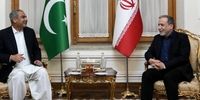 تصاویری از دیدار وزیر کشور پاکستان با عراقچی+ فیلم