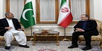 تصاویری از دیدار وزیر کشور پاکستان با عراقچی+ فیلم