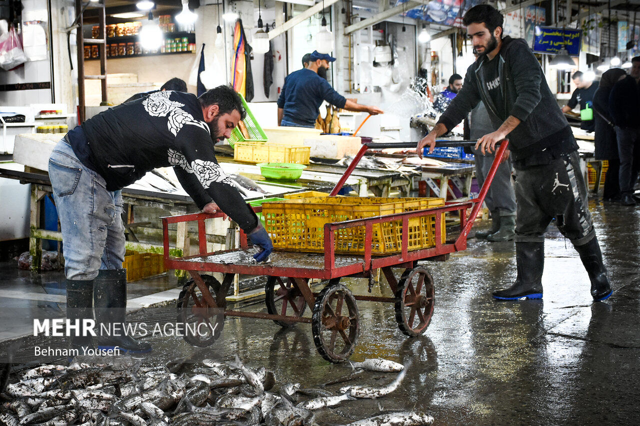 تصاویر| در این بازار زندگی جریان دارد...