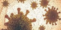 کرونا در این استان جولان می دهد