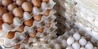 تخم‌مرغ دوباره گران شد / دولت حذف یارانه نهاده را تکذیب کند، قیمت کاهش می‌یابد