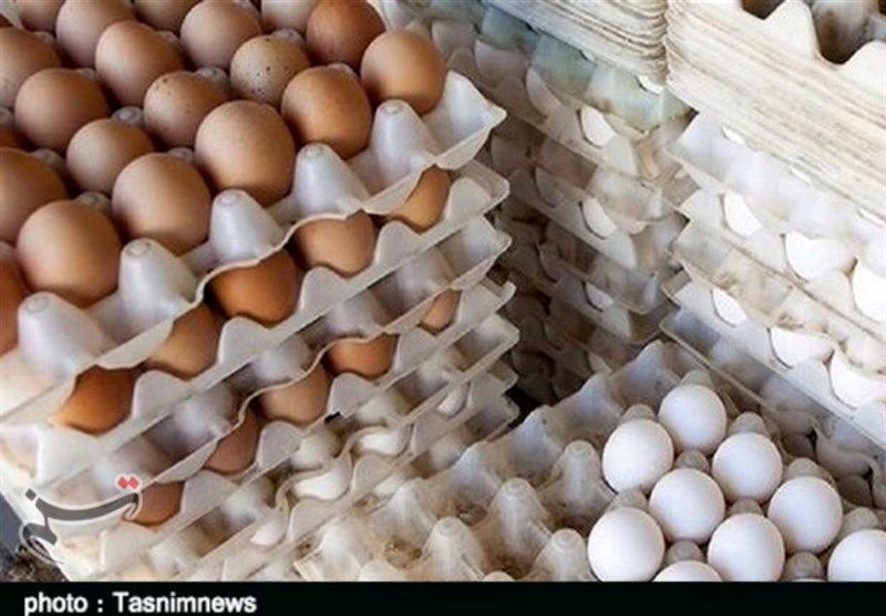 تخم‌مرغ دوباره گران شد / دولت حذف یارانه نهاده را تکذیب کند، قیمت کاهش می‌یابد