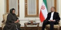 نماینده گوترش با امیرعبداللهیان دیدار کرد