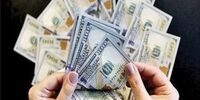 رکوردزنی‌های مکرر در انتظار بازار ارز؟ + فیلم 
