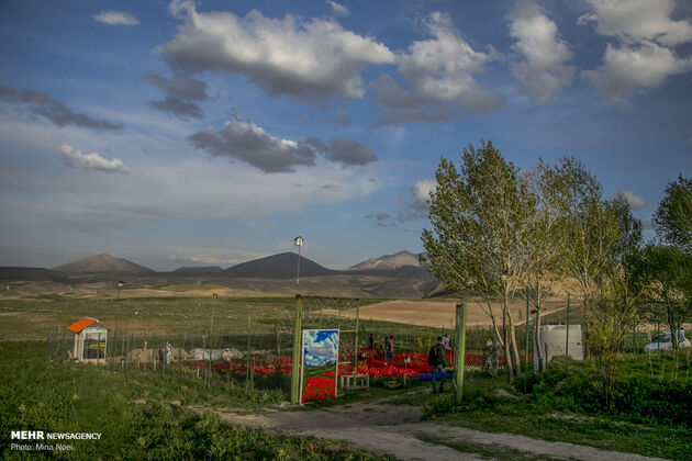 3769491_IMG_7527