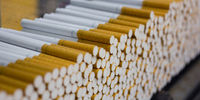 هفت برنامه راهبردی نظارت بر دخانیات/ آخرین وضعیت صادران و قاچاق سیگار+ جدول