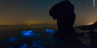 تصاویر انعکاس نور پلانکتون‌ها در خلیج فارس 