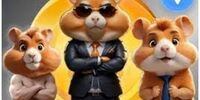 همستر کامبت چه خطرهایی می‌تواند داشته باشد؟+فیلم