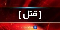 راز قتل پیرمرد ۷۱ ساله لو رفت