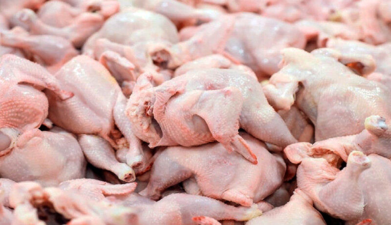 خبر رئیس اتحادیه مرغداران از کاهش شدید فروش مرغ بعد از پرداخت یارانه