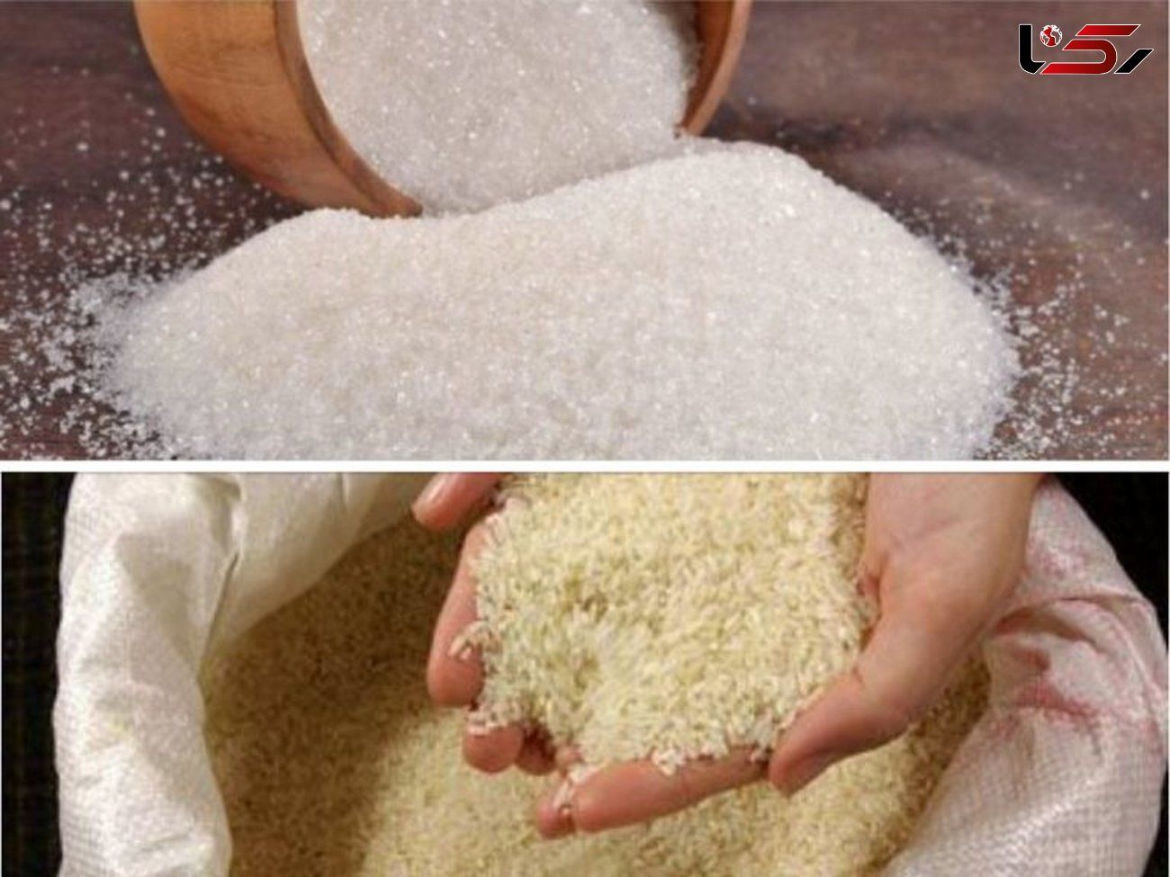 آخرین وضعیت برنج و شکر در کشور / الزام نظارت بر قیمت‌گذاری اقلام اساسی