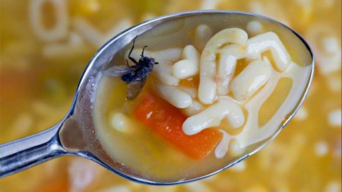 پشت‌پرده غذاهای ارزان 50 هزار تومانی / مواد فاسد و نامعلوم در بازرسی تعزیرات + فیلم