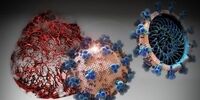 کرونای فرانسوی هم آمد!
