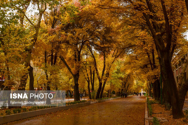 61511794_sadeghzadeh-33