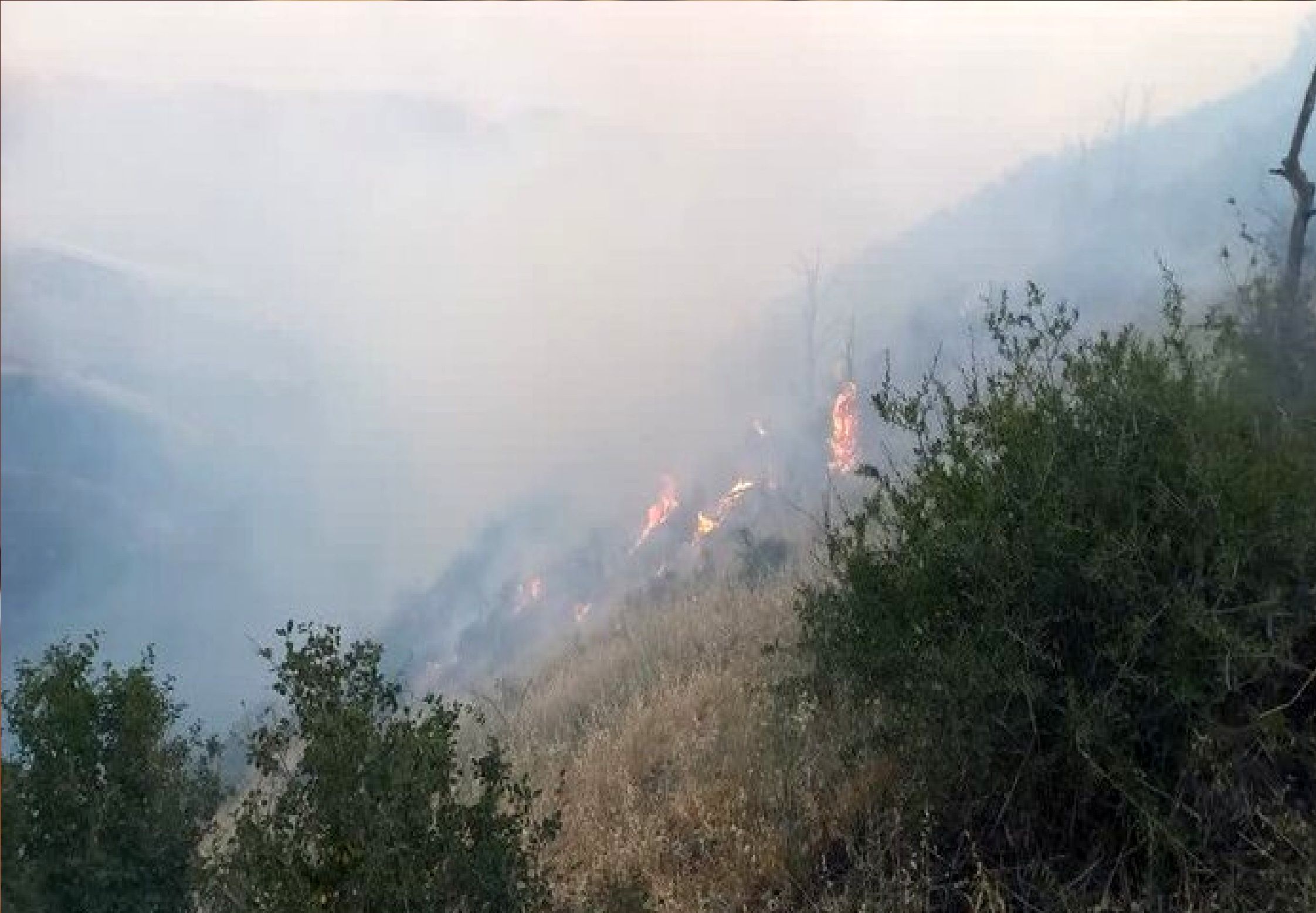 آخرین وضعیت آتش‌سوزی جنگل‌های استان گلستان 