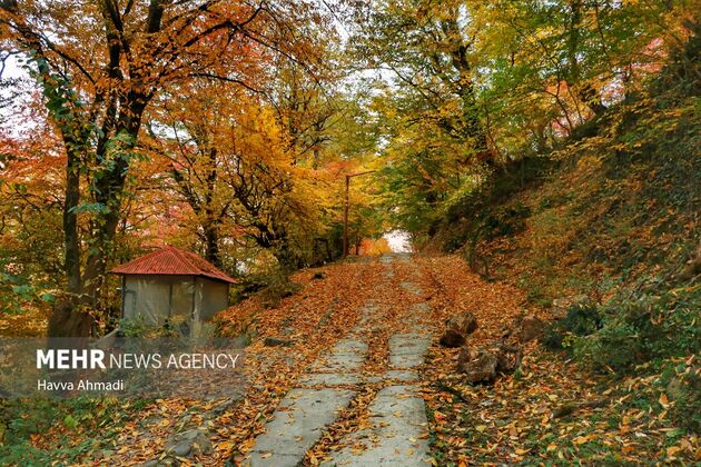 xQCrQjaP0vSY