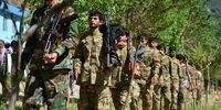 نگرانی ها از جنگ داخلی در افغانستان/ جبهه مقاومت دولت در تبعید تشکیل می‌دهد