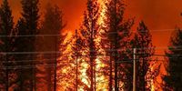 تصاویر آتش‌سوزی هولناک در کالیفرنیا