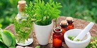 این گیاه قویترین داروی خواب آور است
