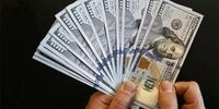 2 عامل مهم اقتصادی که مانع حدف ارز 4200 شد