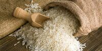 برنج ایرانی در مسیر گرانی/ از مزرعه تا بازار چه گذشت؟