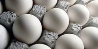 هر شانه تخم مرغ در بازار چند؟