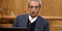 رئیس اتاق ایران: توسعه با تمرکز قدرت در تضاد است