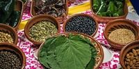 فلفل سیاه چه تاثیری بر روی ویروس کرونا می‌گذارد؟