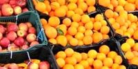 قطعی شدن میوه تنظیم بازار