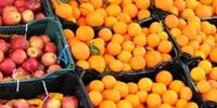 قطعی شدن میوه تنظیم بازار