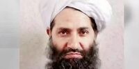 طالبان: فشار جهان بر ما بی‌فایده است