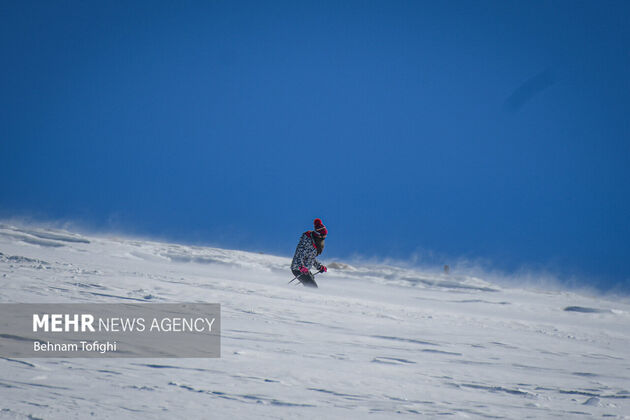 4014290_DSC_2602