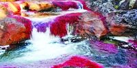 اینجا زیباترین رودخانه دنیاست 